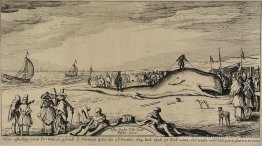 Sperme à la plage de Noordwijk Sperme à la plage de Noordwijk