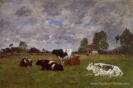 Vaches dans un pâturage Vaches dans un pâturage