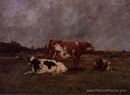 Vaches en pâturage Vaches en pâturage