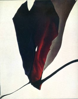 titre inconnu titre inconnu