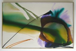 Phénomènes Amber Sight Phénomènes Amber Sight