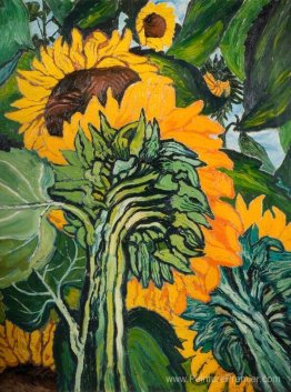 Tournesols Tournesols