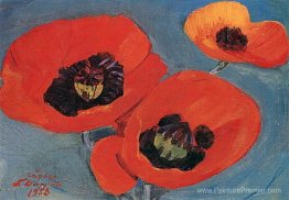 Coquelicots Coquelicots