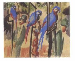 Perroquets bleus Perroquets bleus