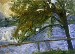 Arbre sur le lac Arbre sur le lac