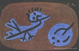 Citrouille de l'oiseau bleu Citrouille de l'oiseau bleu