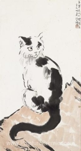 Chat Chat