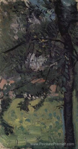 Étude de l'arbre Étude de l'arbre