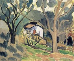Paysage Paysage