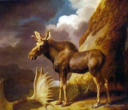 L'élan L'élan