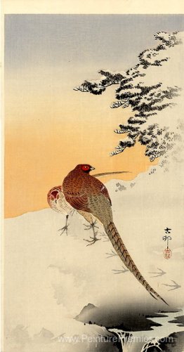 Faisans sur la neige Faisans sur la neige
