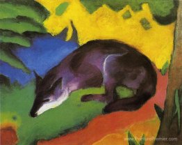 Renard bleu Renard bleu
