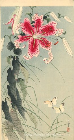 Lily et papillons Lily et papillons