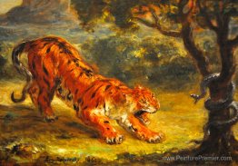 Tigre et serpent Tigre et serpent