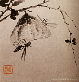Études sur les insectes, les guêpes Études sur les insectes, les guêpes
