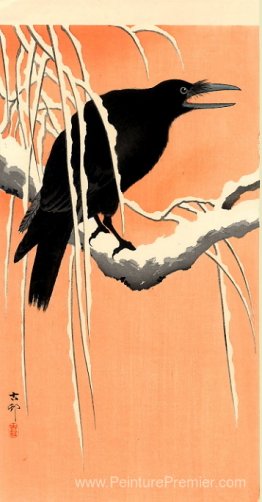 Corbeau Corbeau