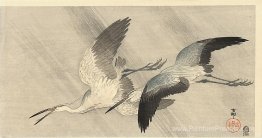 Deux hérons en vol Deux hérons en vol