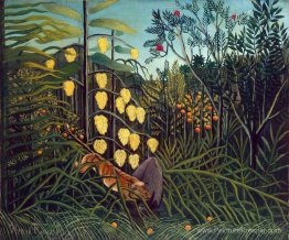 Forêt tropicale: combattant le tigre et les buffles Forêt tropicale: combattant le tigre et les buffles