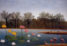 Les flamants Les flamants