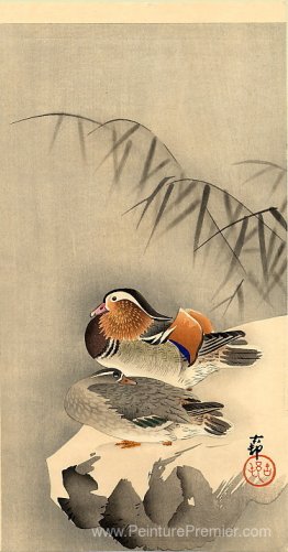 Ducks de mandarin dans la neige Ducks de mandarin dans la neige