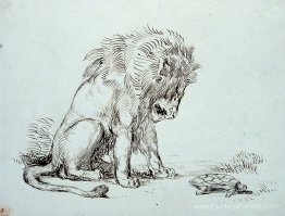 Lion et tortue Lion et tortue