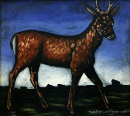 Cerf Cerf