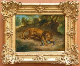 Lion et alligator Lion et alligator