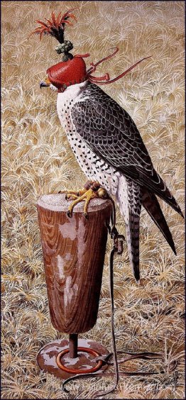 Lanner Lanner