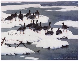 Compagnie des fronts blancs Compagnie des fronts blancs