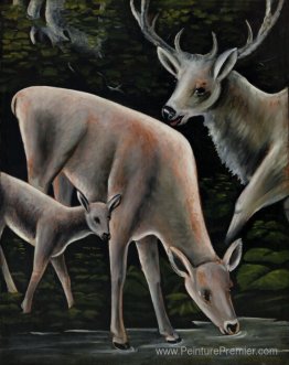 Famille de cerfs à Waterhole Famille de cerfs à Waterhole