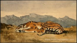 Tigre Tigre