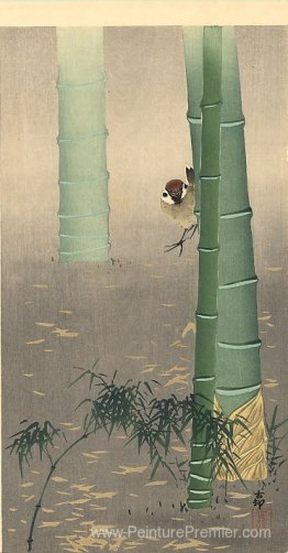 Sparrow d'arbre et bambou Sparrow d'arbre et bambou