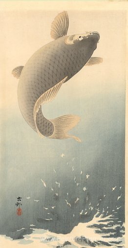 Carpe sautant Carpe sautant
