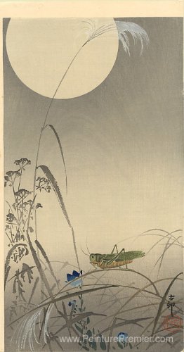 Lune et imbécile Lune et imbécile