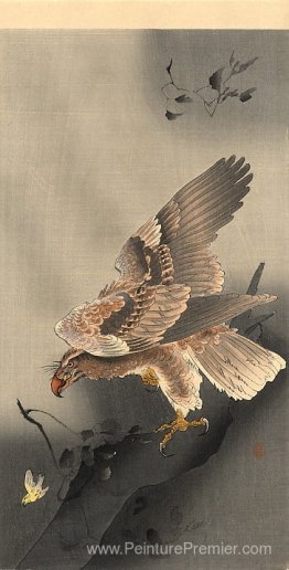 Aigle coulé Aigle coulé