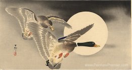 Oies en vol avant une pleine lune Oies en vol avant une pleine lune