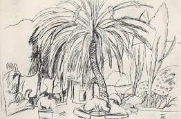 Paysage espagnol. Palmier. Paysage espagnol. Palmier.