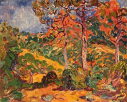 Soleil à travers les arbres Soleil à travers les arbres