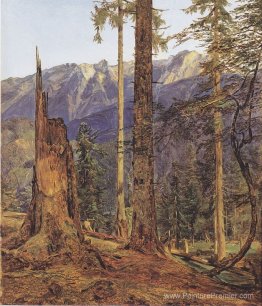 Le Höllengebirge à Ischl Le Höllengebirge à Ischl