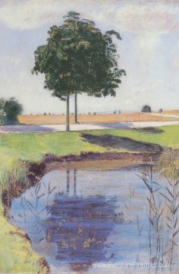 Les arbres de châtaignes Les arbres de châtaignes