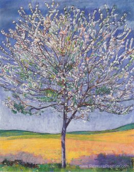 Cherry Tree en fleur Cherry Tree en fleur