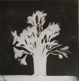 Fleurs à une fenêtre Fleurs à une fenêtre