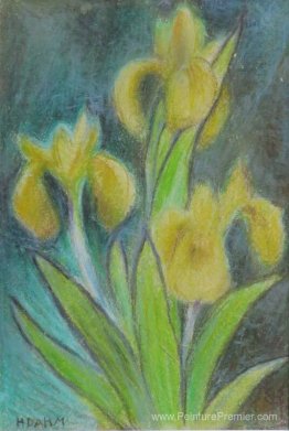 Amarillide Amarillide