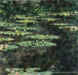 Nénuphars Nénuphars