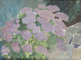 Hortensias Hortensias