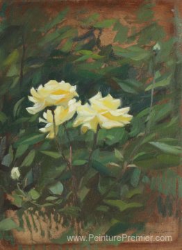 Roses sauvages Roses sauvages