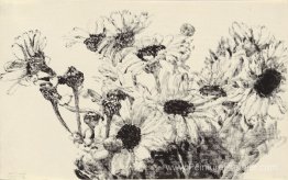 Marguerits Marguerits