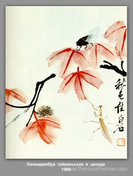 Likvidambra taiwan et la cigale Likvidambra taiwan et la cigale