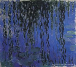 Lys d'eau et branches de saules pleureur Lys d'eau et branches de saules pleureur