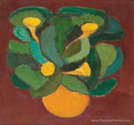 Biais bleue jaune Biais bleue jaune